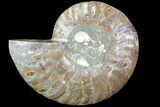Agatized Ammonite Fossil (Half) - Madagascar #83793-1